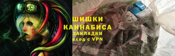 прущие грибы Богородицк
