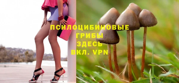 прущая мука Богданович