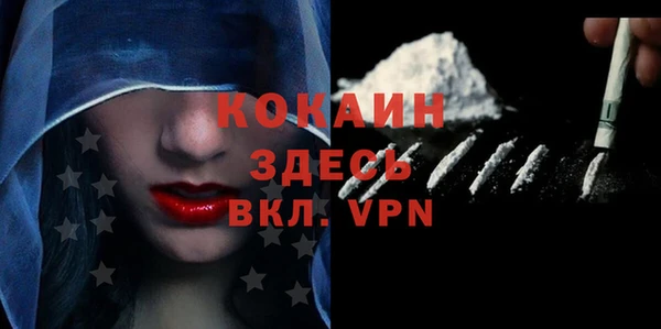 прущие грибы Богородицк
