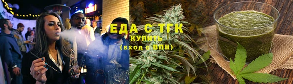 индика Нижний Тагил