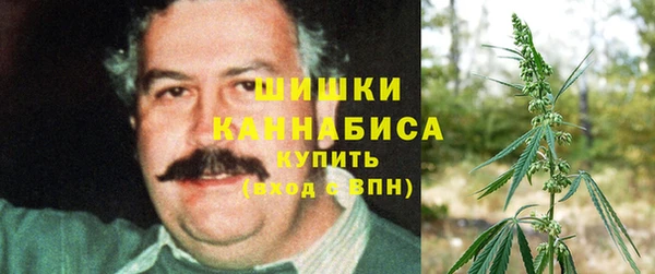прущая мука Богданович