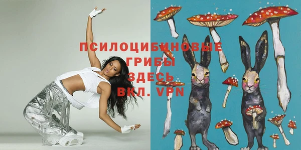 гашик Богородск