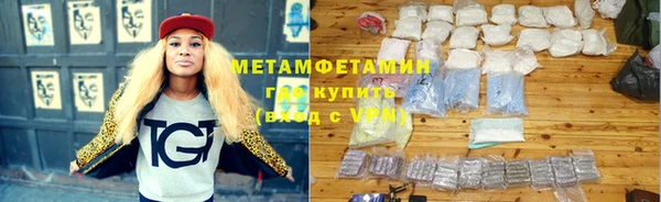 индика Нижний Тагил